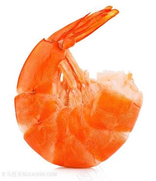 新鲜美味虾肉高清图片海鲜图片