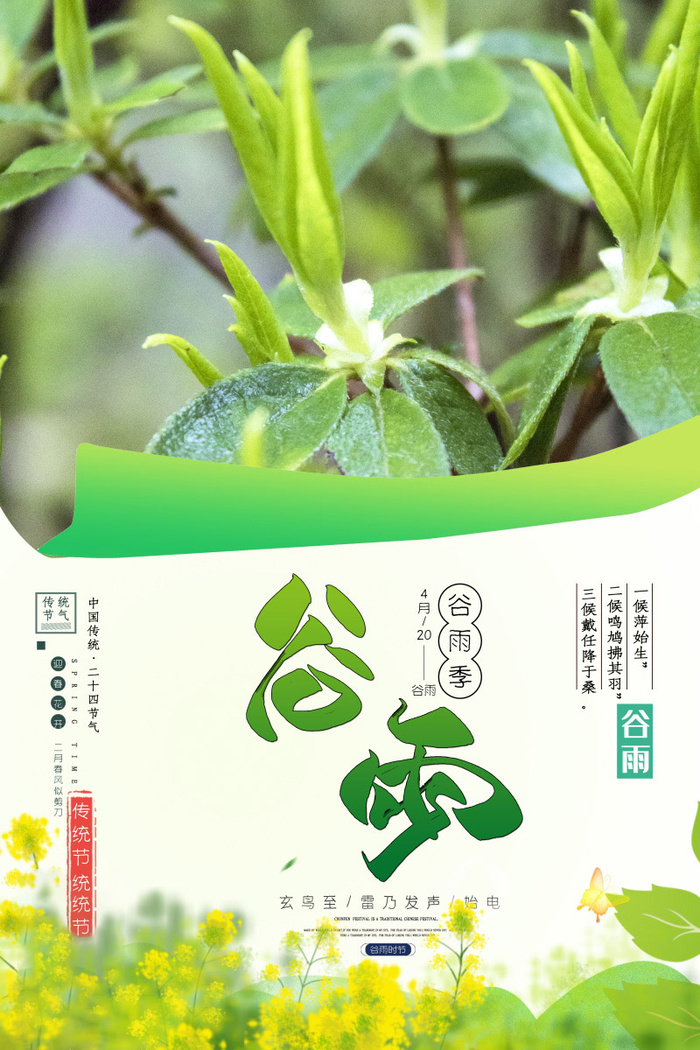 谷雨海报二十四节气谷雨广告