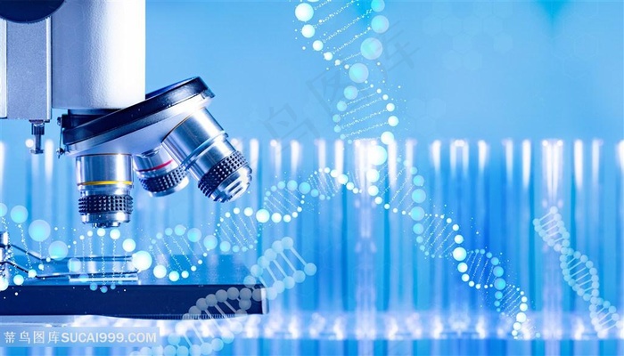 基因研究细胞分子结构链