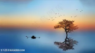 充满意境的湖面大树倒影风景图片