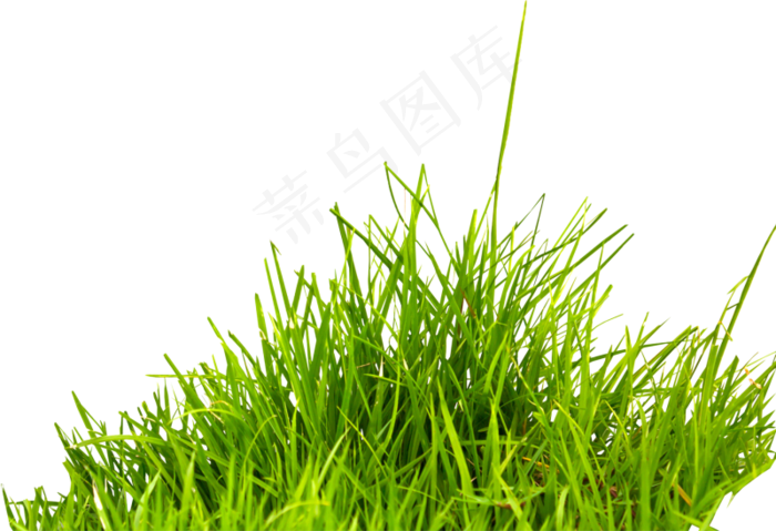 草地免扣png 