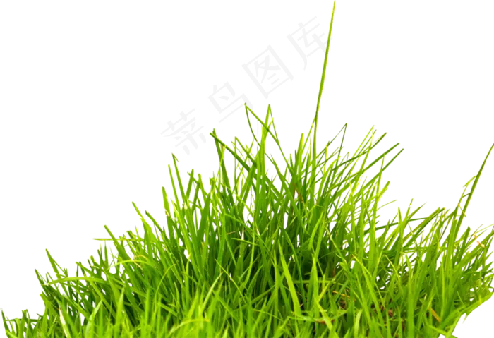 草地免扣png 