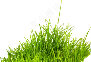 草地免扣png 