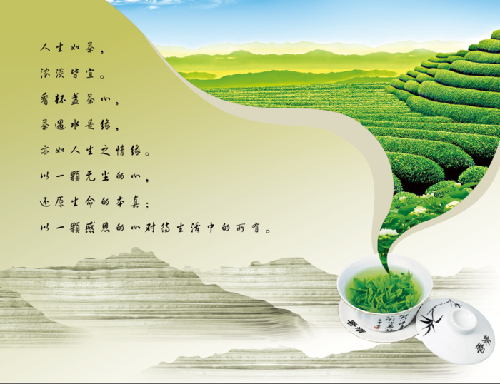 茶园 茶 茶饮风景psd模版下载