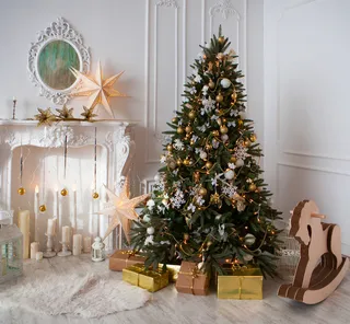 圣诞节圣诞壁炉圣诞树室内场景(49)