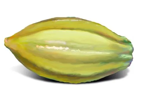 可可 PNG免抠(500x316)