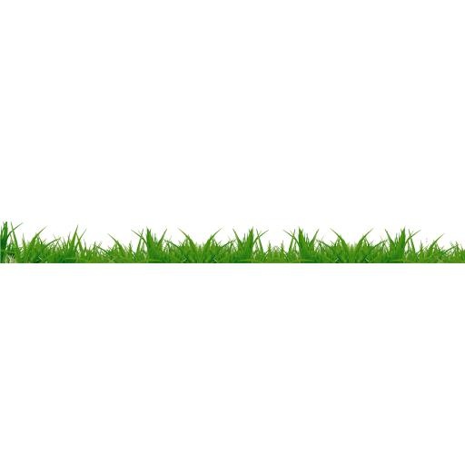 草 PNG免抠(1900x1859)