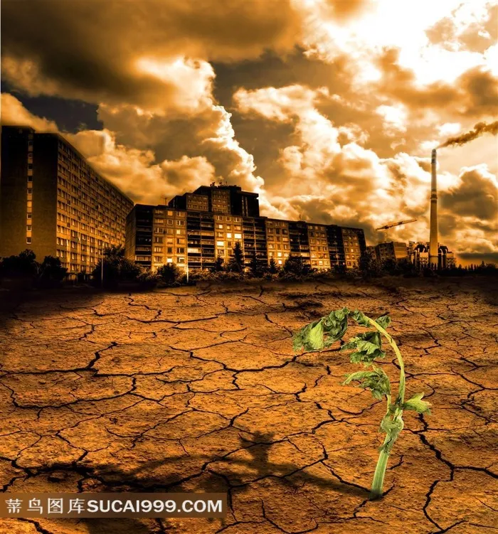 公益广告元素 干涸土地小苗