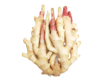 子姜超市商品白底图免抠实物摄影png格式图片透明底