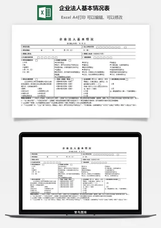 企业法人基本情况表excel模板