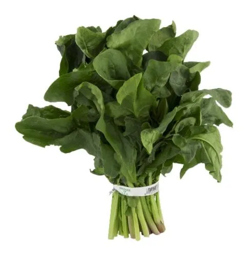 菠菜免抠(484x500)