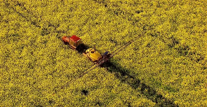 春季旅游赏花必游