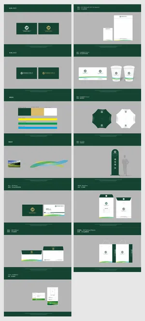 高尔夫视觉系统VI品牌方案