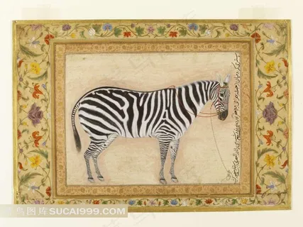 碎花框内的斑马图