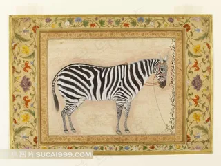 碎花框内的斑马图