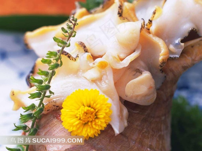 海鲜美食食物素材