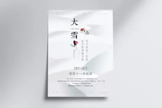 大雪节气简约海报