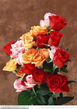 插花艺术-多彩的玫瑰