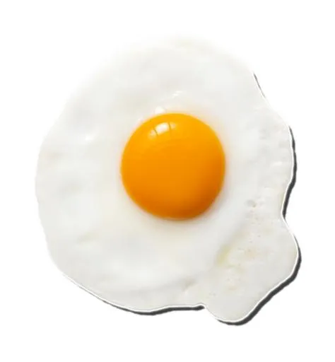 煎蛋 PNG免抠(1280x1381)