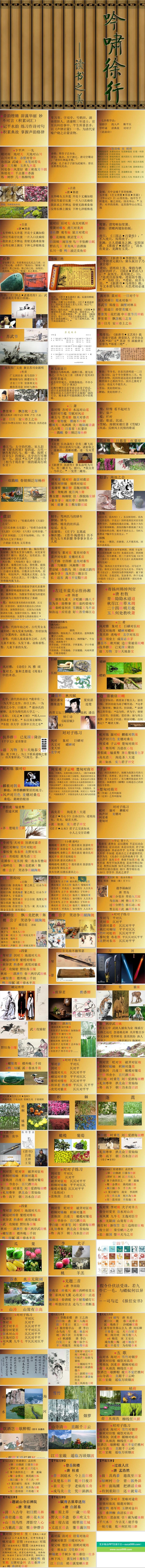 声律音乐音律启蒙PPT模板ppt模版