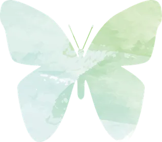 卡通动画动画蝴蝶免扣PNG手绘插画图片素材 (108)