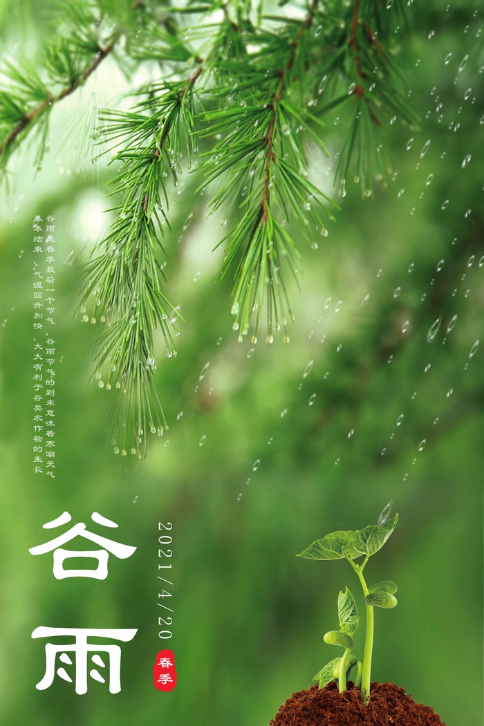 谷雨 二十四节气psd模版下载