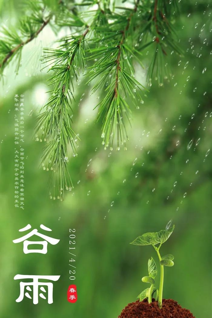 谷雨 二十四节气psd模版下载