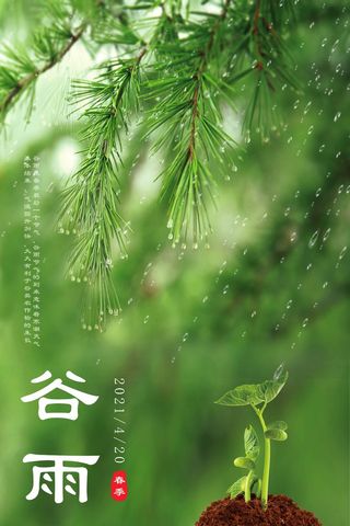 谷雨 二十四节气