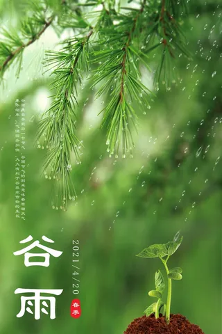 谷雨 二十四节气
