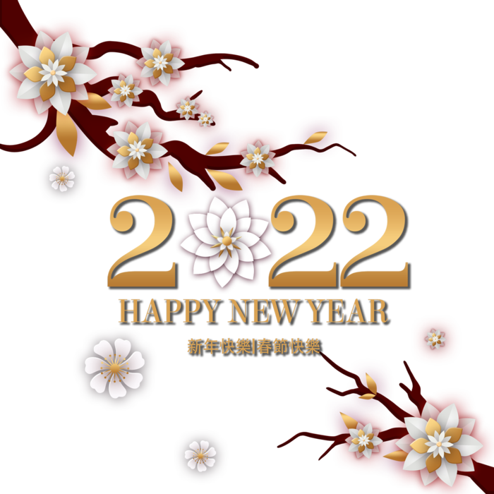 2022新年艺术创意字体虎年3D立体标题数字文字png免抠字素材