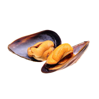 螺贝类带壳类(84)海鲜超市商品红酒白底图免抠实物摄影png格式图片透明底