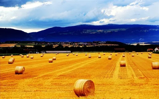 瑞士伯尔尼田园风景图片