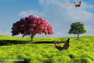 美丽的花朵与蝴蝶高清图