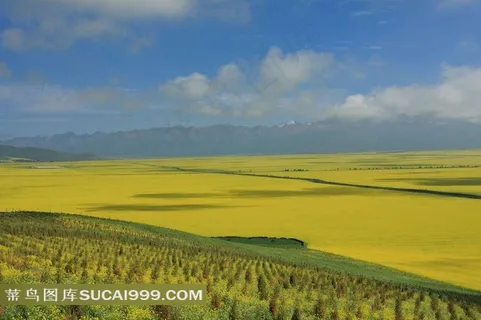 青海门源风景下载