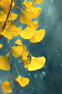 秋叶黄色树枝虚化背景