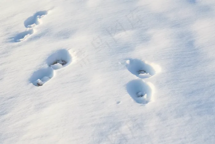 冬季雪地脚印白雪摄影图(4032x2688)
