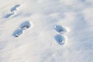 冬季雪地脚印白雪摄影图