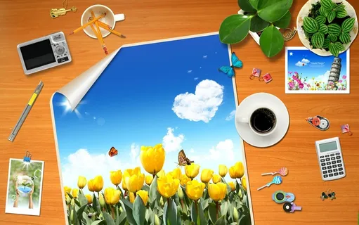 橙色郁金香画册背景 橙色郁金香画册背景