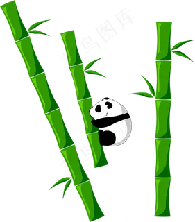 免抠实物竹子摄影图透明图层