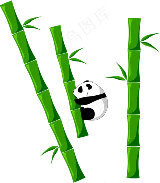 免抠实物竹子摄影图透明图层