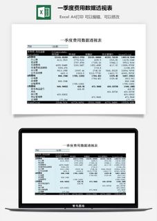 一季度费用数据透视表excel模板