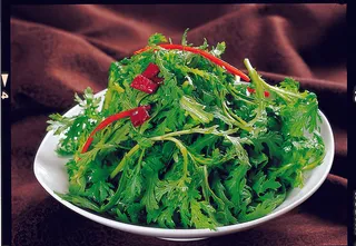 96LC-236生拌茼蒿