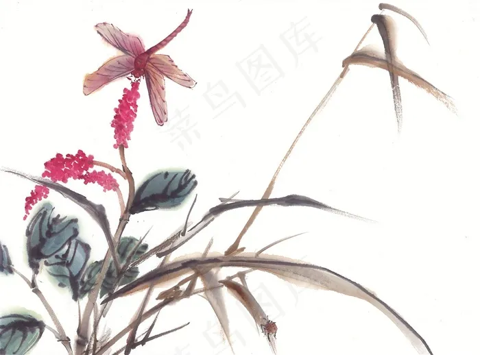 昆虫花草中国画摄影图片