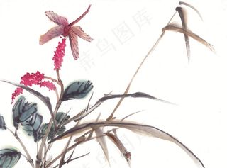 昆虫花草中国画摄影图片