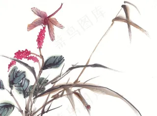昆虫花草中国画摄影图片