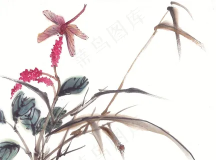 昆虫花草中国画摄影图片 昆虫花草中国画摄影图片