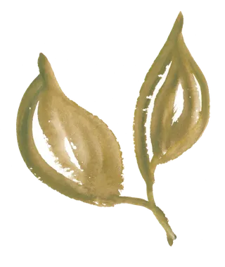 唯美森系手绘水彩花朵 免抠