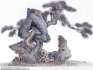 松树奇石图