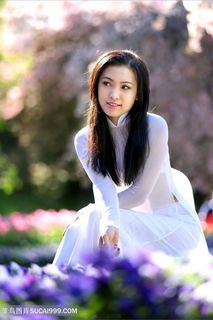 越南旗袍美女图片