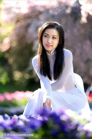 越南旗袍美女图片